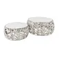 Invicta Stolik kawowy ABSTRACT LEAF akacja silver / 43817