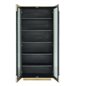 FINSBURY Witryna 2 drzwiowa (Black/gold) MDF 97cm / 7891