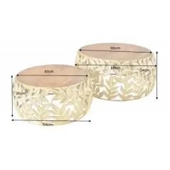 Invicta Stolik kawowy ABSTRACT LEAF akacja gold / 43818