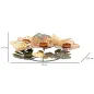 Patera SHINE 45 x 42,5 x 6,5cm / 190396000A