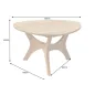 Invicta Stolik kawowy ARCHITECTURE miodowa akacja 70cm / 43739