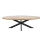 Invicta GALAXIE Oval Stół do jadalni mango 240cm / 45771 Invicta GALAXIE Oval Stół do jadalni mango 240cm / 45771