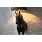 Invicta Lampa stołowa BLACK BEAUTY rzeźba konia 130cm / 6530082