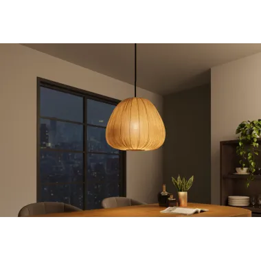 Invicta Lampa wisząca ORGANIC z naturalnego materiału 30cm / 46413