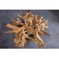 Invicta Stolik kawowy ROOT drewno teakowe 100cm / 44120