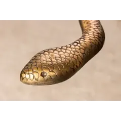 Invicta WILDLIFE SNAKE Stolik kawowy antyczna miedź 45cm / 43513