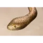Invicta WILDLIFE SNAKE Stolik kawowy antyczna miedź 45cm / 43513