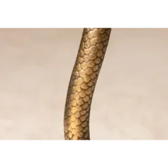 Invicta WILDLIFE SNAKE Stolik kawowy antyczna miedź 45cm / 43513