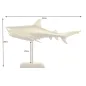 Invicta Dekoracja rzeźba HAI 68cm złota / 42988