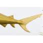 Invicta Dekoracja rzeźba HAI 100cm złota / 42986