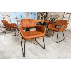 Krzesło Mustang antyczny brąz / 38387