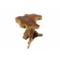 Invicta Stolik ROOT lite drewno teak 40cm / 38237