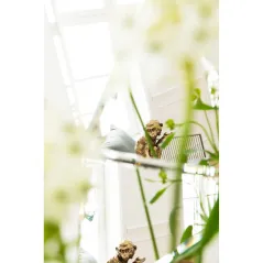 Kare Lustro PRISMA 80 x 120 x 10cm / 44897