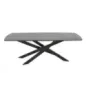 Invicta Stół do jadalni SIGNUM ciemnobrązowe drewno mango 220cm / 45837 Invicta Stół do jadalni SIGNUM ciemnobrązowe drewno mango 220cm / 45837