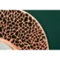 Invicta Lustro ścienne ABSTRACT LEAF miedziane 115cm / 41436
