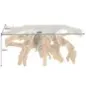 Invicta Konsola ROOT Stojak z drewna tekowego bez szklanej płyty 150cm / 44121