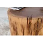 Invicta Stolik kawowy Goa PURE Pień Akacji 50cm / 35899